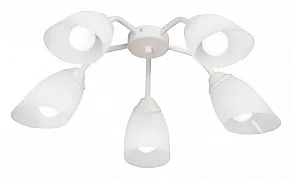 Потолочная люстра Vitaluce V31950 V31950/5PL