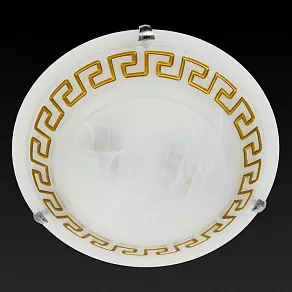 Накладной светильник TopLight Gien TL9171Y-02BN