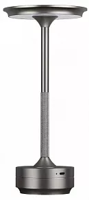 Настольная лампа декоративная Odeon Light Tet-A-Tet 5035/6TL