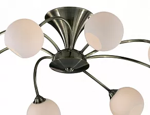 Потолочная люстра Odeon Light Ittal 2160/8