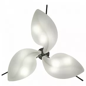 Потолочная люстра Mantra Natura 3586