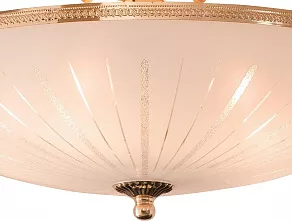 Светильник на штанге Citilux CL912 CL912121