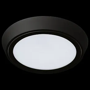 Накладной светильник Lightstar Urbano 216974