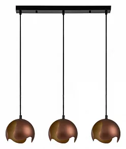 Подвесной светильник Indigo Severo 10004/3P Black
