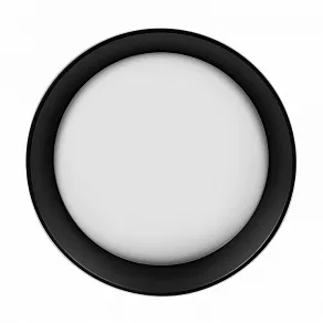 Накладной светильник Loft it Coin 10202 WB