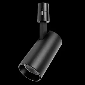 Светильник на штанге Lightstar Due Hermes 210147