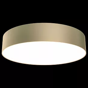Накладной светильник Maytoni Zon C032CL-L43MG4K