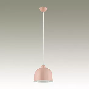 Подвесной светильник Lumion Rory 3655/1