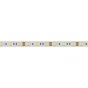 Лента светодиодная Arlight  012338(2)