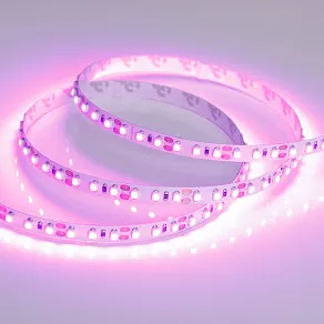 Лента светодиодная Arlight RT открытая 015897(2)