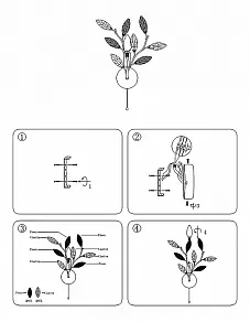 Бра Globo Vida 63160-1W