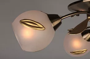Потолочная люстра Omnilux OM-378 OML-37807-04