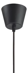 Подвесной светильник Odeon Light Spira 2893/1A