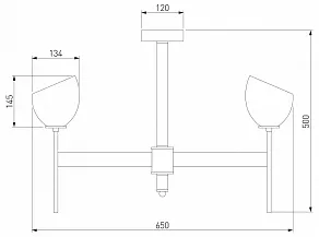 Люстра на штанге Eurosvet Arrista 60130/6 хром Smart