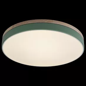 Накладной светильник Loft it Axel 10001/36 Green