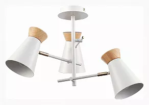 Потолочная люстра EVOLUCE Alfeo SLE1252-502-03