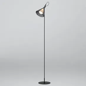 Торшер Eurosvet Enigma 01187/1 черный