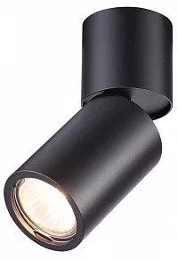 Накладной светильник Odeon Light Duetta 3896/1C