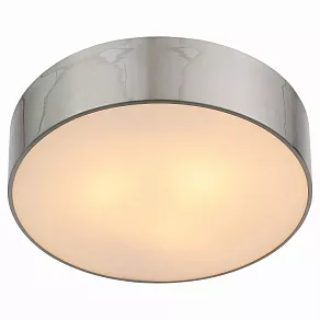 Накладной светильник ST-Luce Bagno SL468.502.03