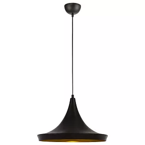 Подвесной светильник Arte Lamp Capello A3406SP-1BK