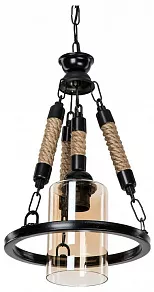 Подвесной светильник TopLight Alanna TL1645H-01BK