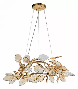 Подвесная люстра Indigo Olivo 11043/6P Amber