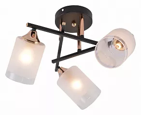 Люстра на штанге Rivoli Fiona Б0059259