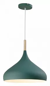 Подвесной светильник Moderli Eline V1306-1P