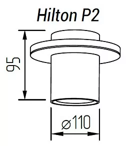 Накладной светильник TopDecor Hilton Hilton P2 12