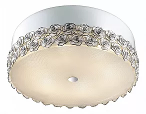 Накладной светильник Odeon Light Rosera 2756/6C