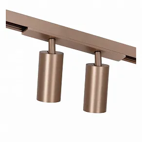 Светильник на штанге Lucide Linial 55901/16/05