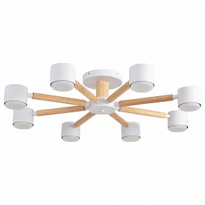 Люстра на штанге Lumion VUDI 8306/8C