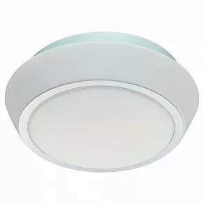 Накладной светильник ST-Luce Bagno SL496.502.03