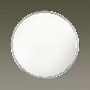 Накладной светильник Odeon Light Selena 4626/48CL