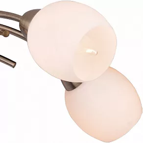 Потолочная люстра TopLight Merry TL3780X-05AB