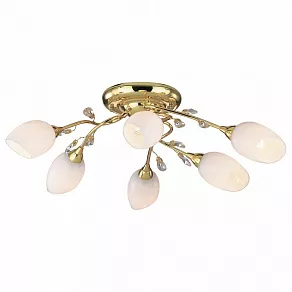 Потолочная люстра Odeon Light Fiera 1604/6