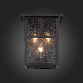 Накладной светильник ST-Luce Glazgo SL079.401.03