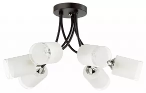 Люстра на штанге Lumion Paula 4533/6C