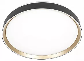 Накладной светильник Citilux BOSS CL751451G