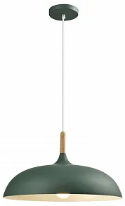 Подвесной светильник Moderli Hygo V11453-1P