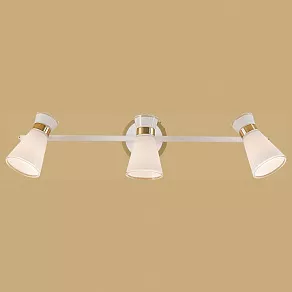Спот Citilux Грейс CL528532