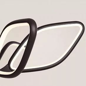 Люстра на штанге Favourite Borges 2563-6U