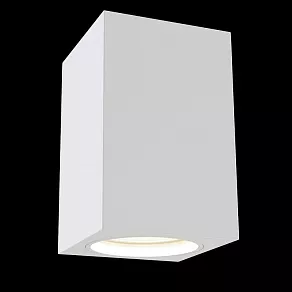 Накладной светильник Maytoni Focus C011CL-01W