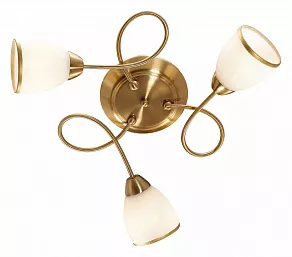 Потолочная люстра Odeon Light Foko 2561/3C