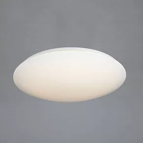 Накладной светильник Omnilux Berkeley OML-43007-50