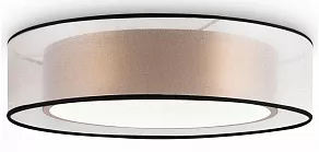 Накладной светильник Freya Zoticus FR6005CL-L36G