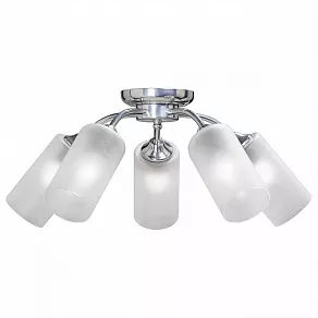 Потолочная люстра Vitaluce V3811 V3811-9/5PL