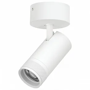 Спот Lightstar Canno Pro C4306SO