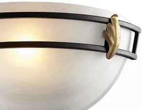 Накладной светильник Odeon Light Osorno 2664/1W