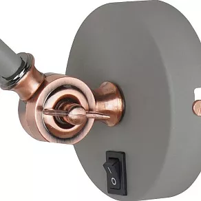 Бра Arte Lamp Braccio A2054AP-1GY